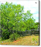 Mesquite Tree And Cedar Post Fence Acrylic Print