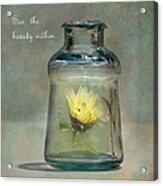 Message In A Bottle Acrylic Print