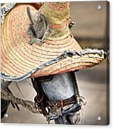 Mexican Burro Acrylic Print