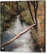 Michigan Creek Acrylic Print