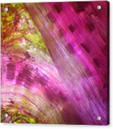 Microscope - Colorful Veg 1 Acrylic Print
