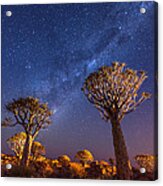 Milky Way Over Quiver Trees - Namibia Night Photograph Acrylic Print