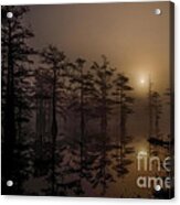 Mississippi Foggy Delta Swamp At Sunrise Acrylic Print