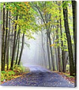 Misty Autumn Road Acrylic Print