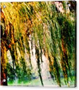 Misty Weeping Willow Tree Dreams Acrylic Print