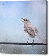 Mockingbird In The Snow Acrylic Print