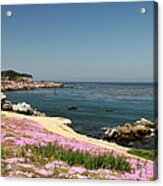 Monterey Bay Acrylic Print