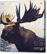 Moose Diorama Acrylic Print