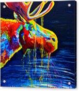 Moose Drool Acrylic Print