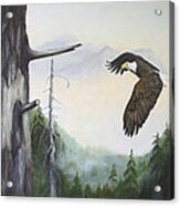 Morning Flight - Bald Eagle Acrylic Print