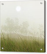 Morning Fog On The Dunes Acrylic Print