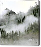 Morning Mist In Olympic National Park Acrylic Print