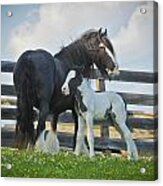 Mother And Son Acrylic Print