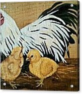 Mother Hen Acrylic Print