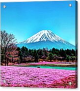 Mount Fuji In Spring And Blue Sky Acrylic Print
