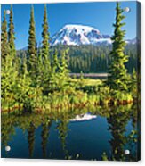 Mount Rainier National Park Acrylic Print