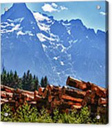 Mountain Logging Acrylic Print