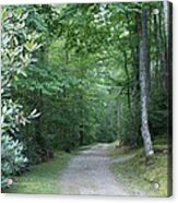 Mountain Road Acrylic Print