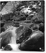 Mountain Stream Monochrome Acrylic Print