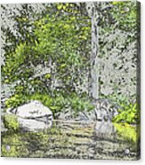 Mountain Woods Water Acrylic Print