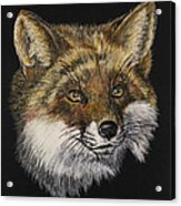 Mr. Red Fox Acrylic Print