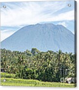 Mt Agung Acrylic Print