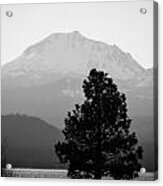 Mt. Lassen With Tree Acrylic Print