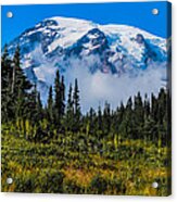 Mt. Rainier Acrylic Print
