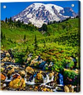 Mt. Rainier Stream Acrylic Print