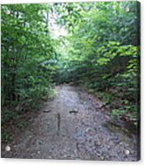 Muddy Road Acrylic Print