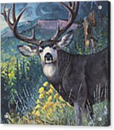 Mulie Storm Acrylic Print