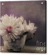 Mums In A Cup Acrylic Print