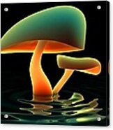 Mushroom Radiance Acrylic Print