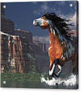 Mustang Canyon Acrylic Print