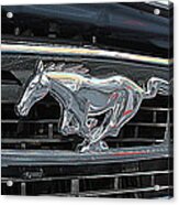 Mustang Logo Acrylic Print