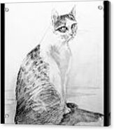 My Pet Cat Acrylic Print