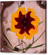 Mysterious Lady Or Enchanted Flower Acrylic Print