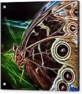 Mystic Butterfly Acrylic Print