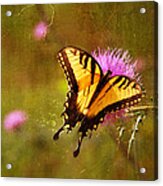 Natures Beauty Acrylic Print