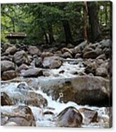 Nature's Flow Acrylic Print