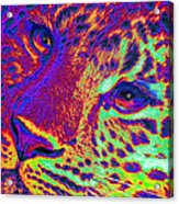 Neon Leopard Acrylic Print