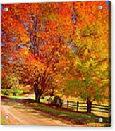 New England Autumn Country Road Acrylic Print