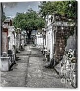 New Orleans Cemetery Acrylic Print