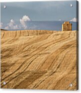 Newly Baled Hay In A Tuscan Field Acrylic Print