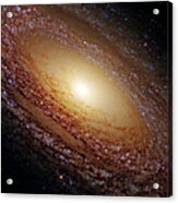 Ngc 2841 Acrylic Print Ngc 2841 Acrylic Print