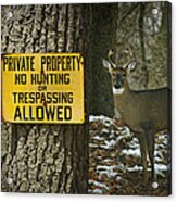 No Hunting Sign And Whitetail Buck Acrylic Print