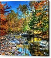 North Branch In Fall Acrylic Print