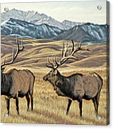 North Of Yellowstone Acrylic Print