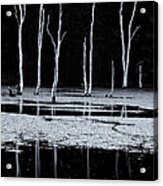 North Pond Twilight Acrylic Print