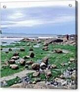 North West Coast Beach Acrylic Print